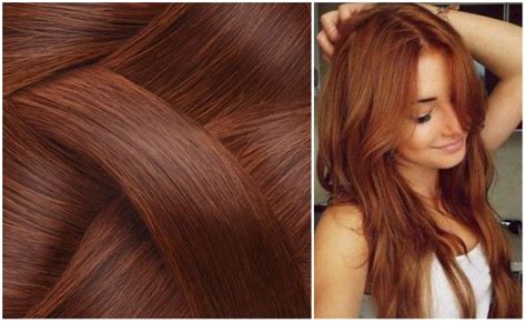 color avellana en morenas|Así puedes conseguir el color de pelo avellana 